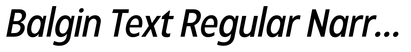 Balgin Text Regular Narrow Italic